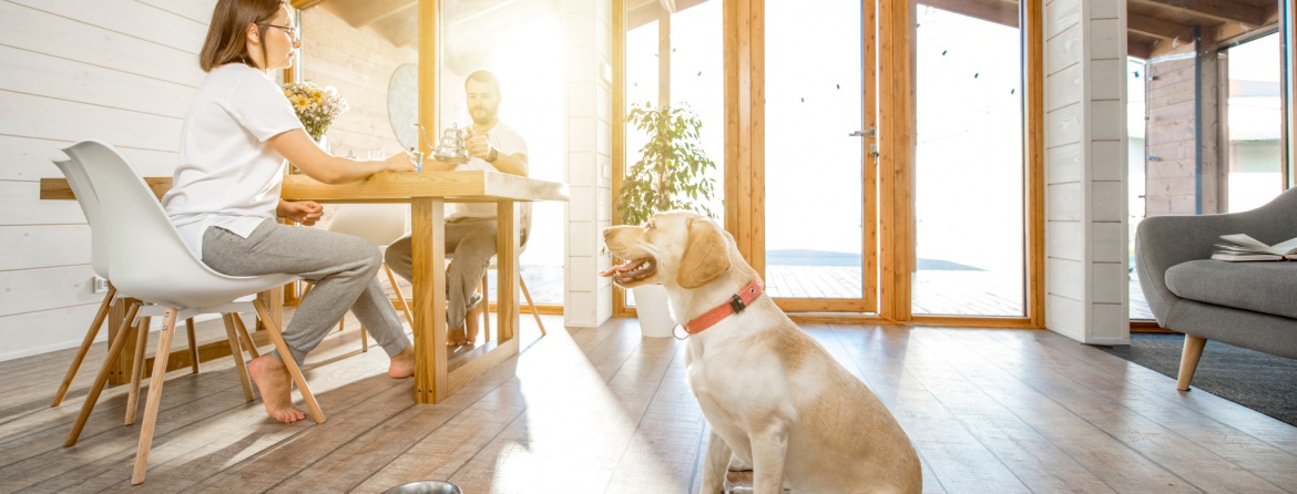 Home Insurance