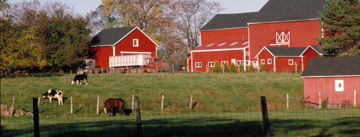 Home Insurance (18)